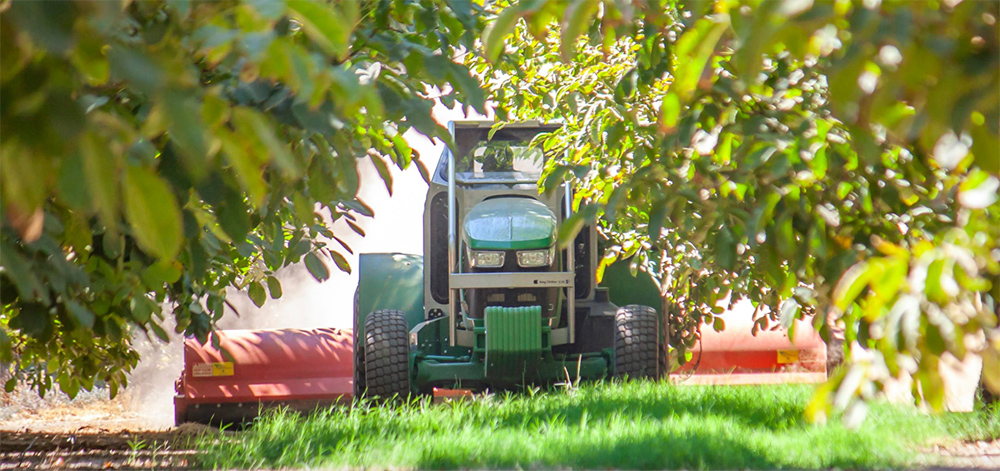 Tractor and bushes