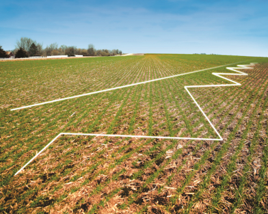 The outline of a field map used for precision ag